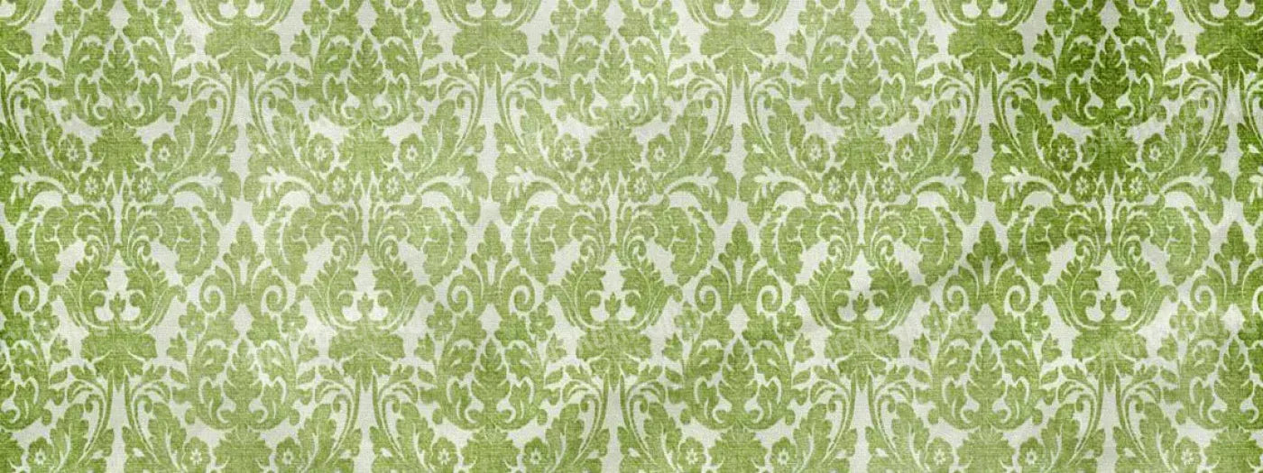 Santos 20X8 Ultracloth ( 240 X 96 Inch ) Backdrop