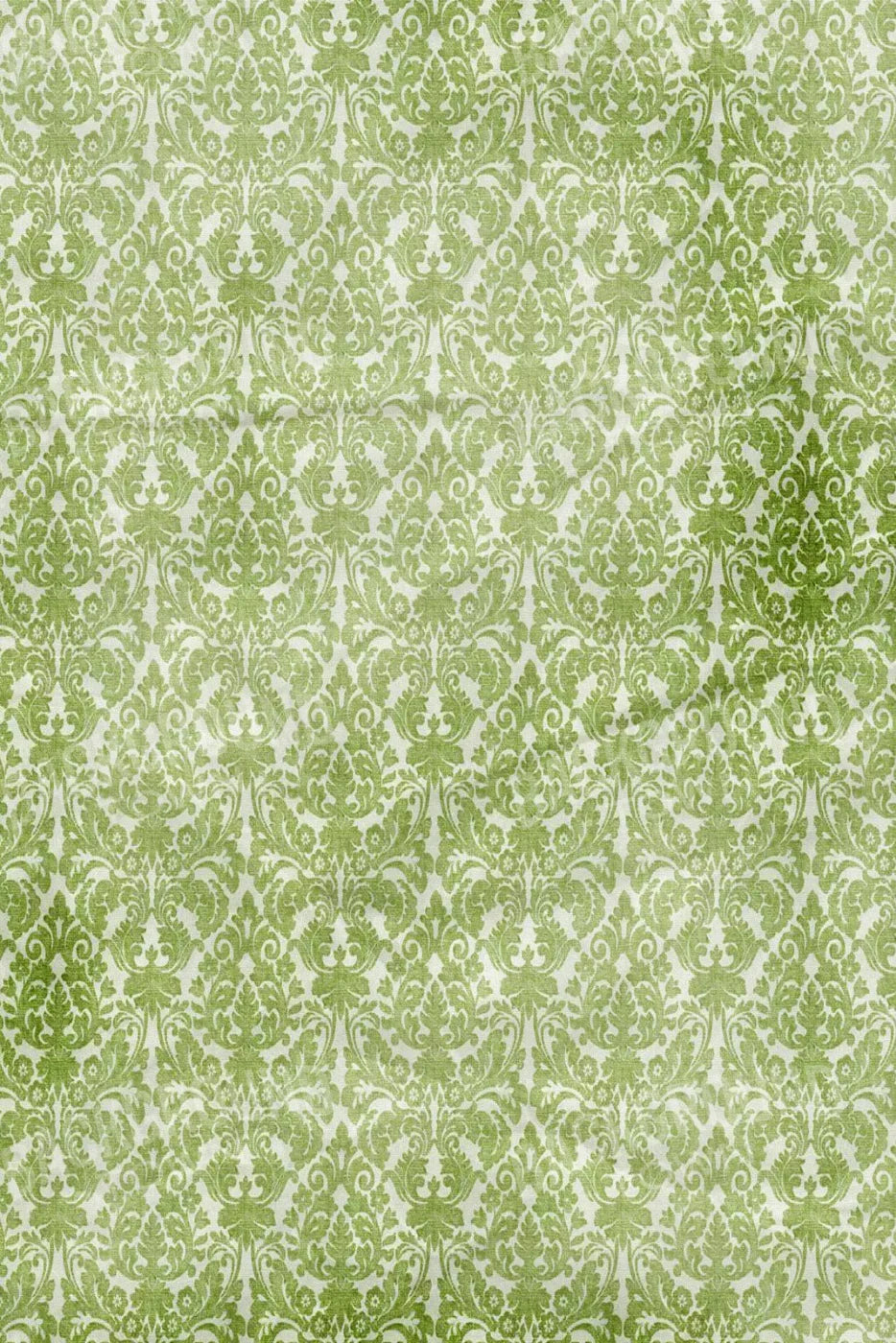 Santos 5X8 Ultracloth ( 60 X 96 Inch ) Backdrop