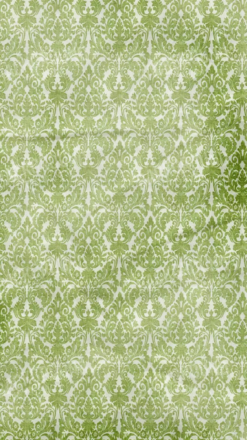Santos 8X14 Ultracloth ( 96 X 168 Inch ) Backdrop