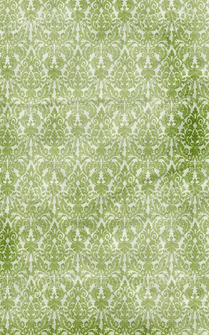 Santos 9X14 Ultracloth ( 108 X 168 Inch ) Backdrop