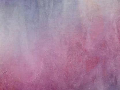 Sassy 10X8 Fleece ( 120 X 96 Inch ) Backdrop
