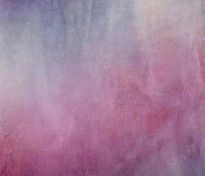 Sassy 12X10 Ultracloth ( 144 X 120 Inch ) Backdrop