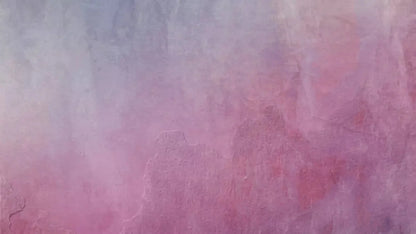 Sassy 14X8 Ultracloth ( 168 X 96 Inch ) Backdrop