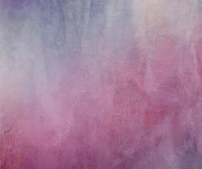 Sassy 5X42 Fleece ( 60 X 50 Inch ) Backdrop
