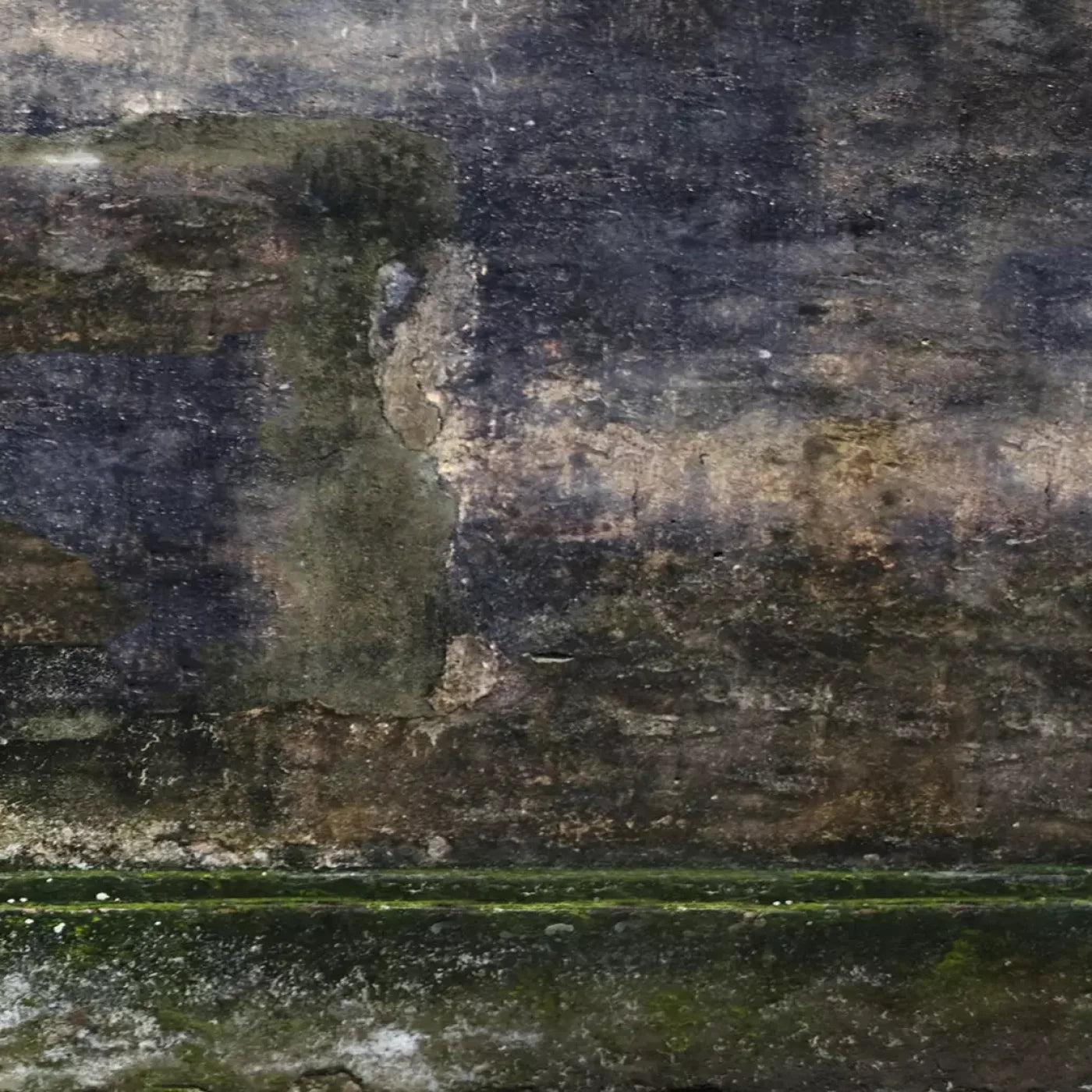 Savannah Wall 10’X10’ Ultracloth (120 X Inch) Backdrop