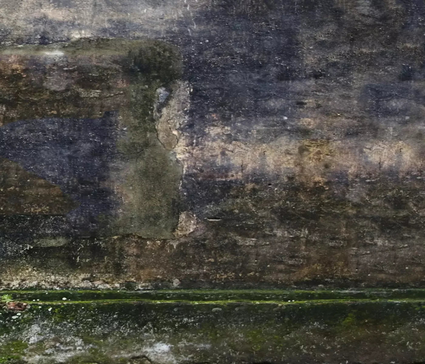Savannah Wall 12’X10’ Ultracloth (144 X 120 Inch) Backdrop
