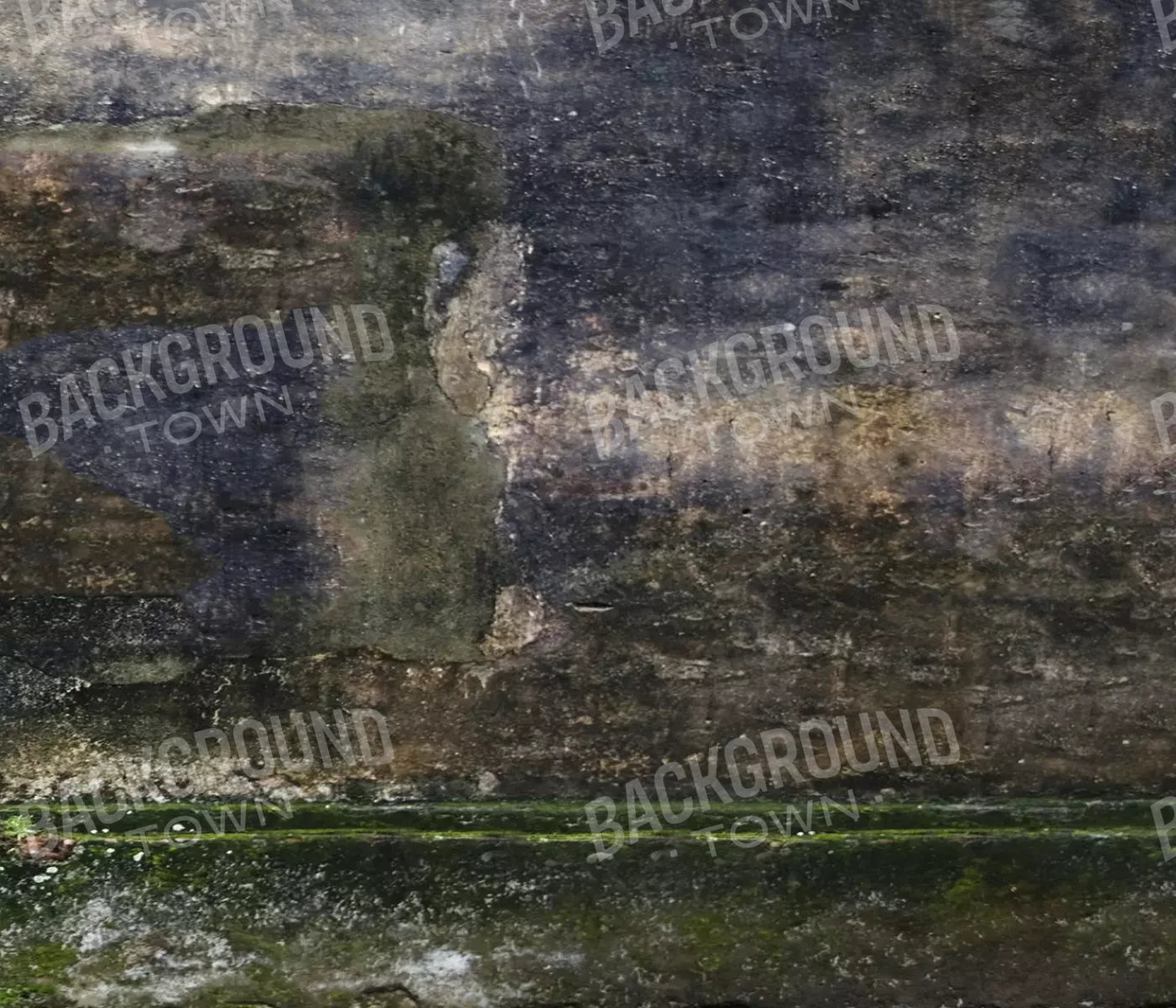 Savannah Wall 12’X10’ Ultracloth (144 X 120 Inch) Backdrop