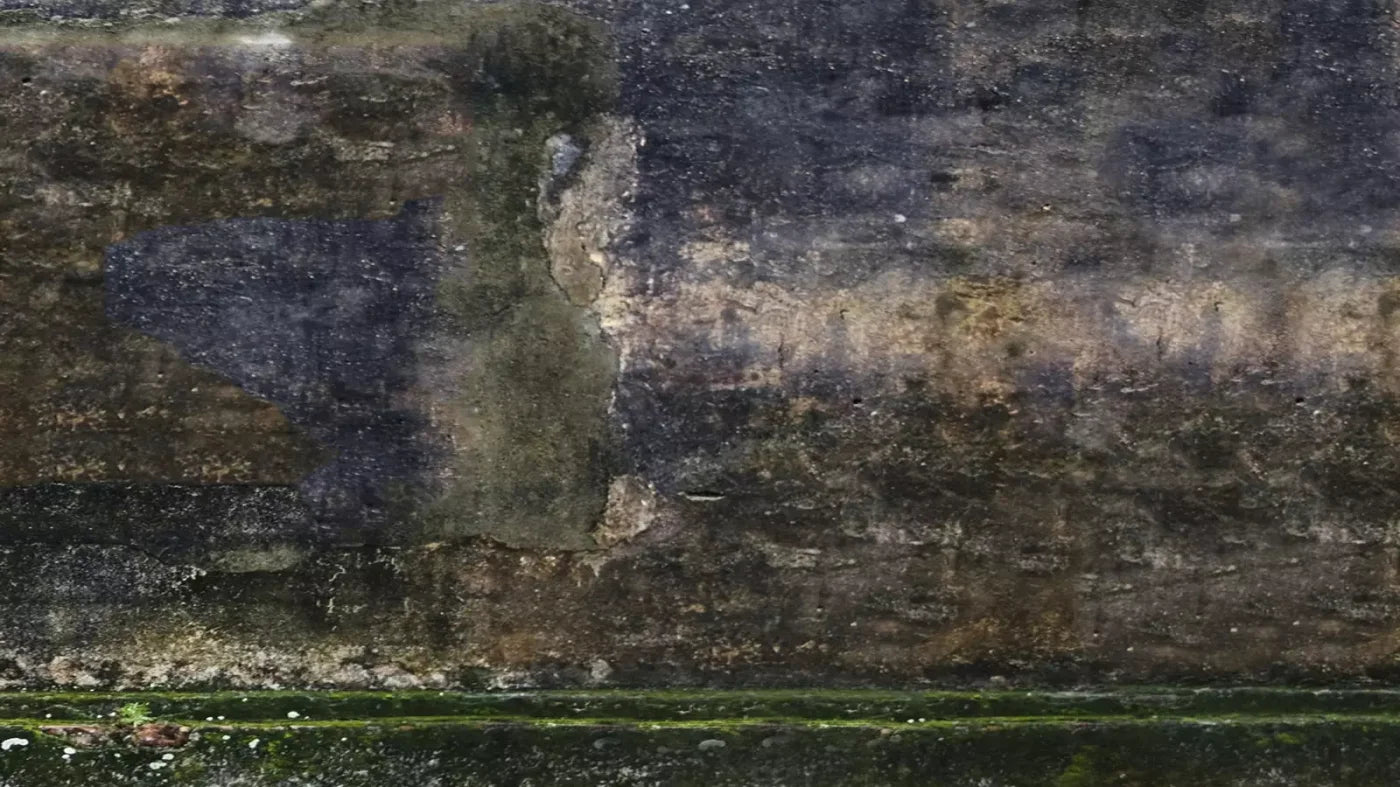 Savannah Wall 14’X8’ Ultracloth (168 X 96 Inch) Backdrop