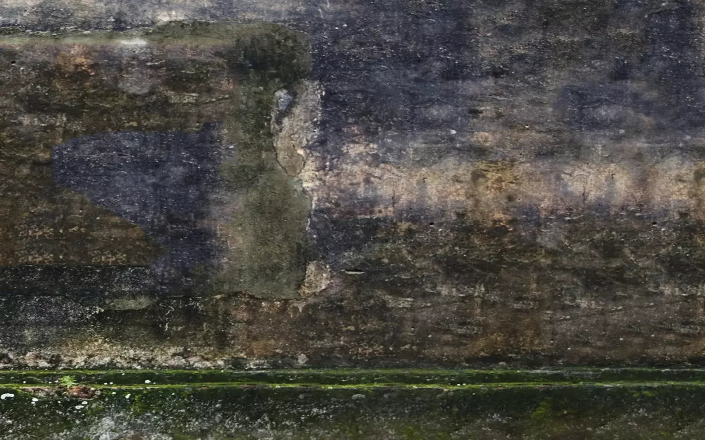 Savannah Wall 14’X9’ Ultracloth (168 X 108 Inch) Backdrop