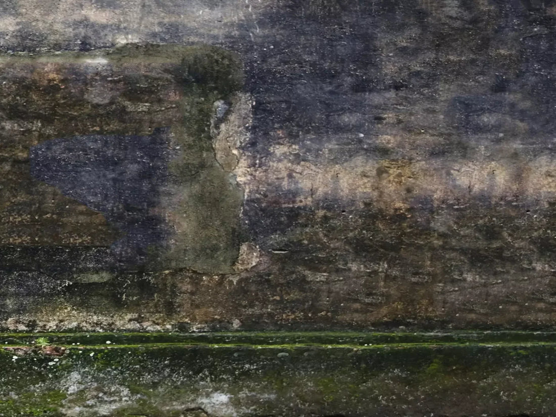 Savannah Wall 6’8’’X5’ Fleece (80 X 60 Inch) Backdrop