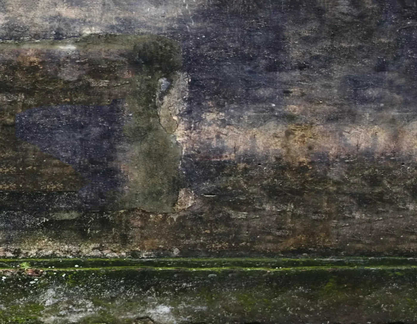 Savannah Wall 8’X6’ Fleece (96 X 72 Inch) Backdrop