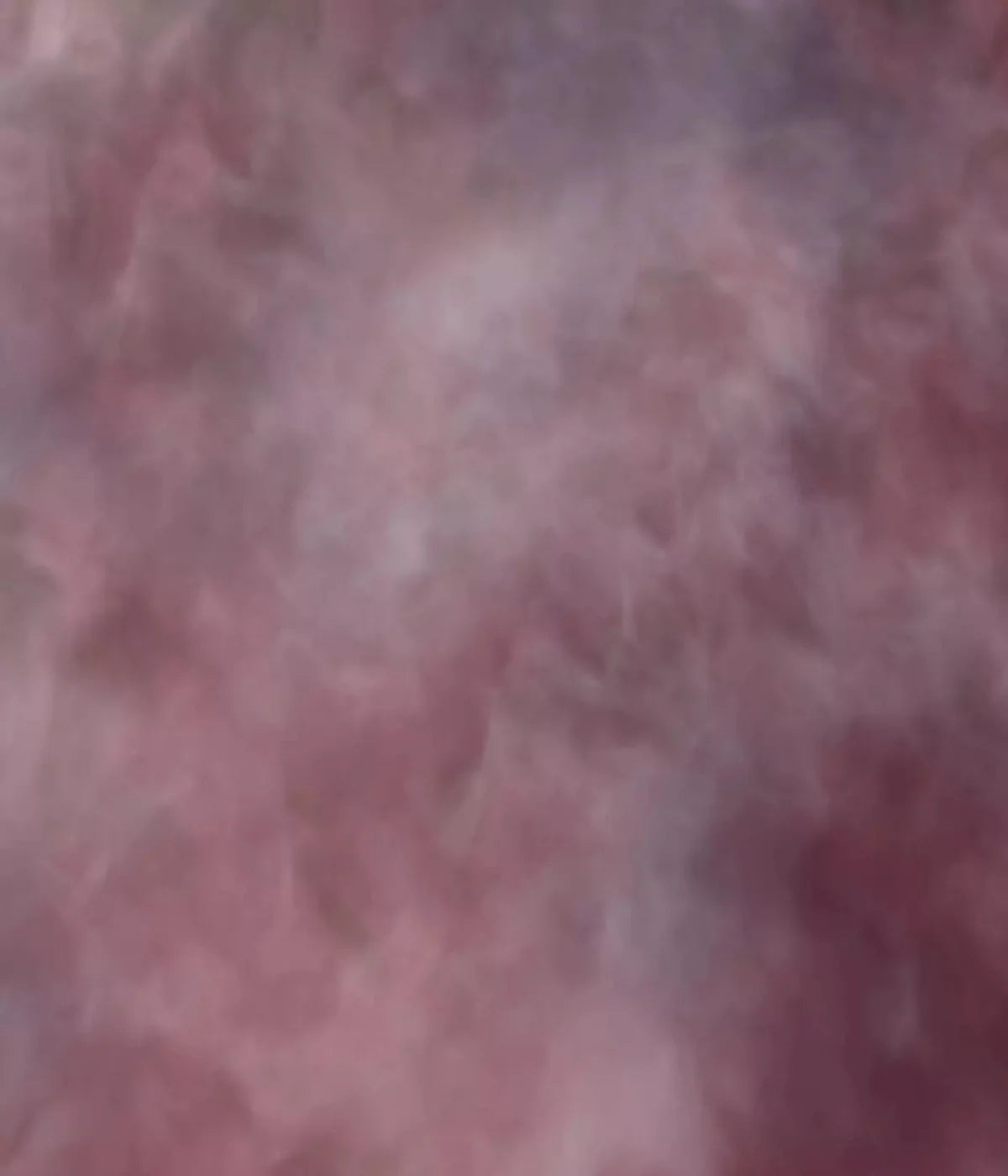 Savant 10X12 Ultracloth ( 120 X 144 Inch ) Backdrop