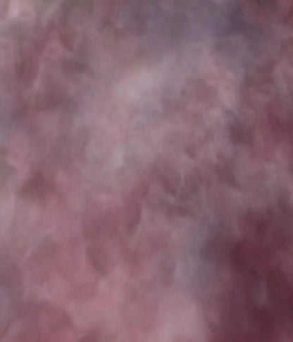 Savant 10X12 Ultracloth ( 120 X 144 Inch ) Backdrop