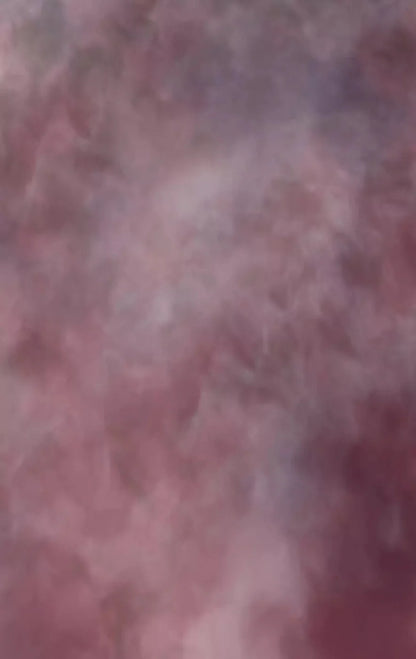 Savant 10X16 Ultracloth ( 120 X 192 Inch ) Backdrop