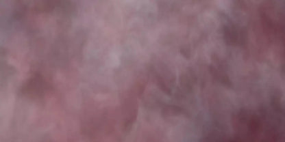 Savant 20X10 Ultracloth ( 240 X 120 Inch ) Backdrop