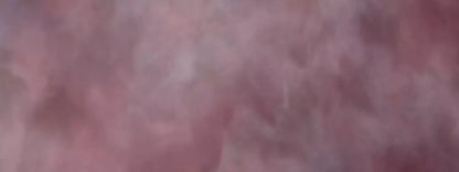 Savant 20X8 Ultracloth ( 240 X 96 Inch ) Backdrop