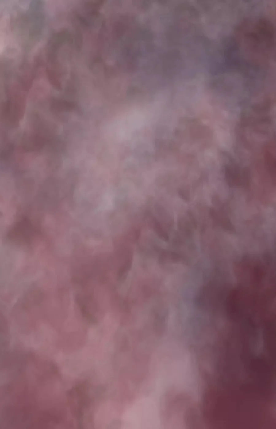 Savant 8X12 Ultracloth ( 96 X 144 Inch ) Backdrop
