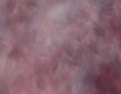 Savant 8X6 Fleece ( 96 X 72 Inch ) Backdrop