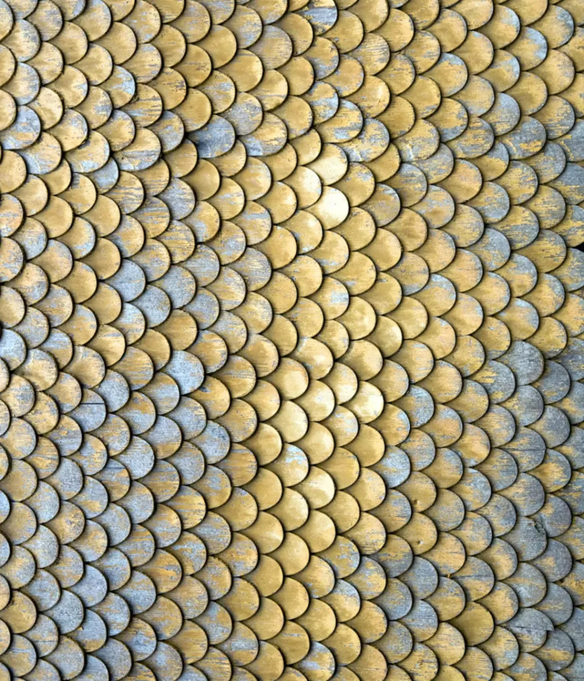 Scales 10X12 Ultracloth ( 120 X 144 Inch ) Backdrop