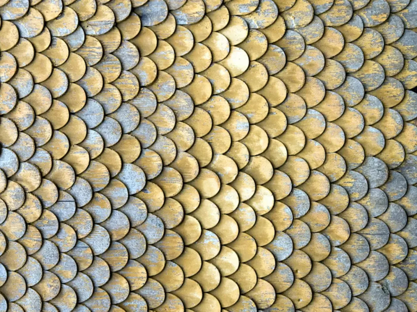 Scales 10X8 Fleece ( 120 X 96 Inch ) Backdrop