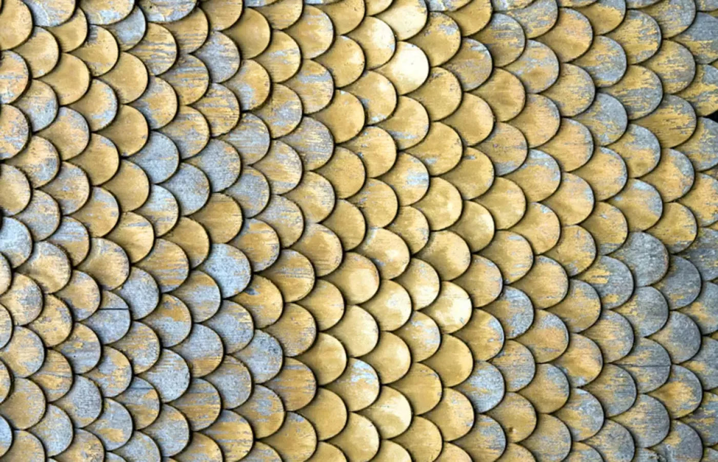 Scales 12X8 Ultracloth ( 144 X 96 Inch ) Backdrop