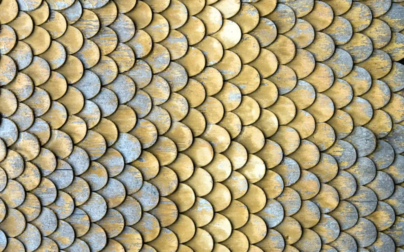 Scales 14X9 Ultracloth ( 168 X 108 Inch ) Backdrop