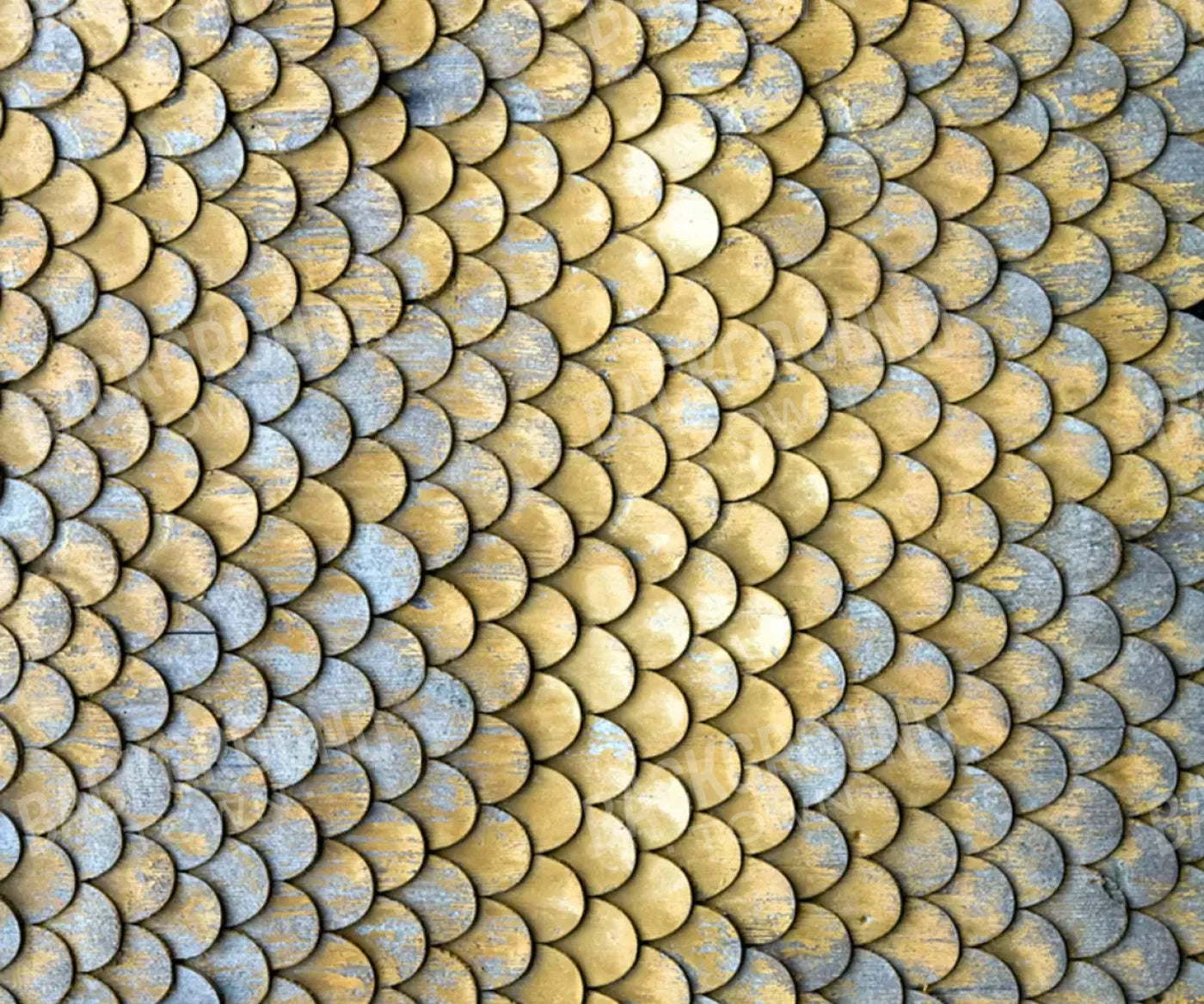 Scales 5X42 Fleece ( 60 X 50 Inch ) Backdrop