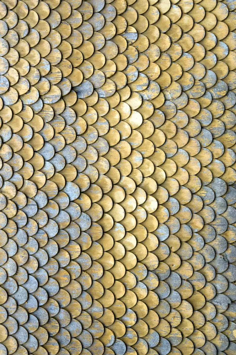 Scales 5X8 Ultracloth ( 60 X 96 Inch ) Backdrop