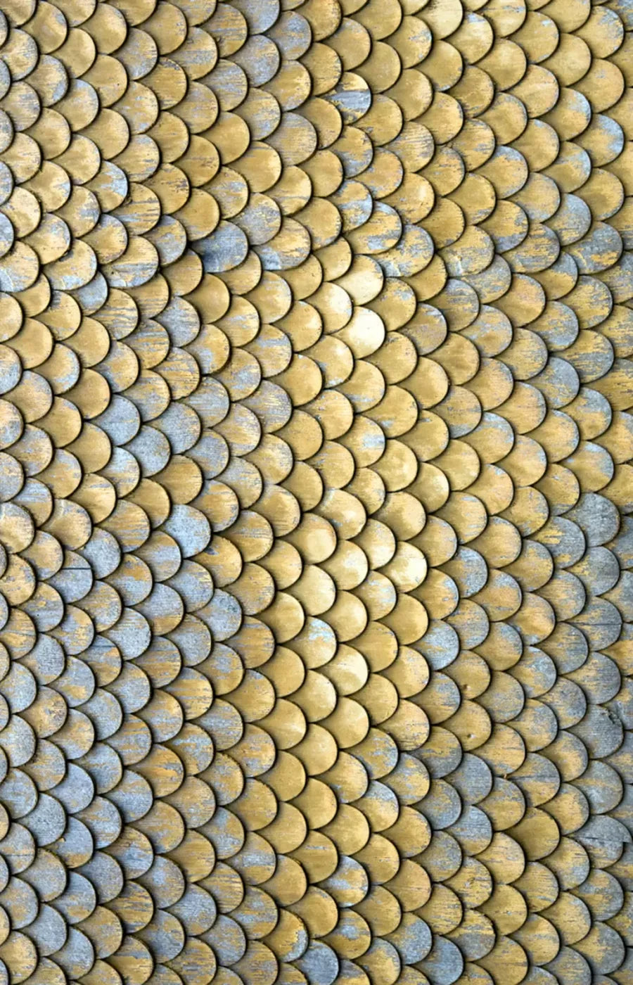 Scales 8X12 Ultracloth ( 96 X 144 Inch ) Backdrop
