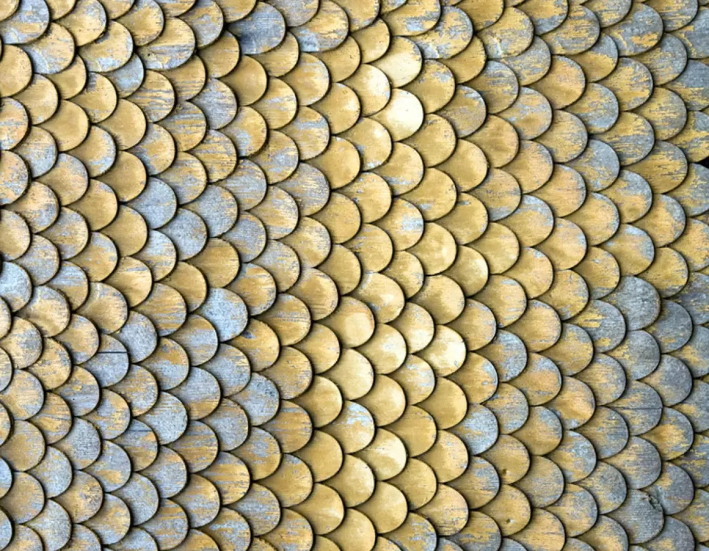 Scales 8X6 Fleece ( 96 X 72 Inch ) Backdrop
