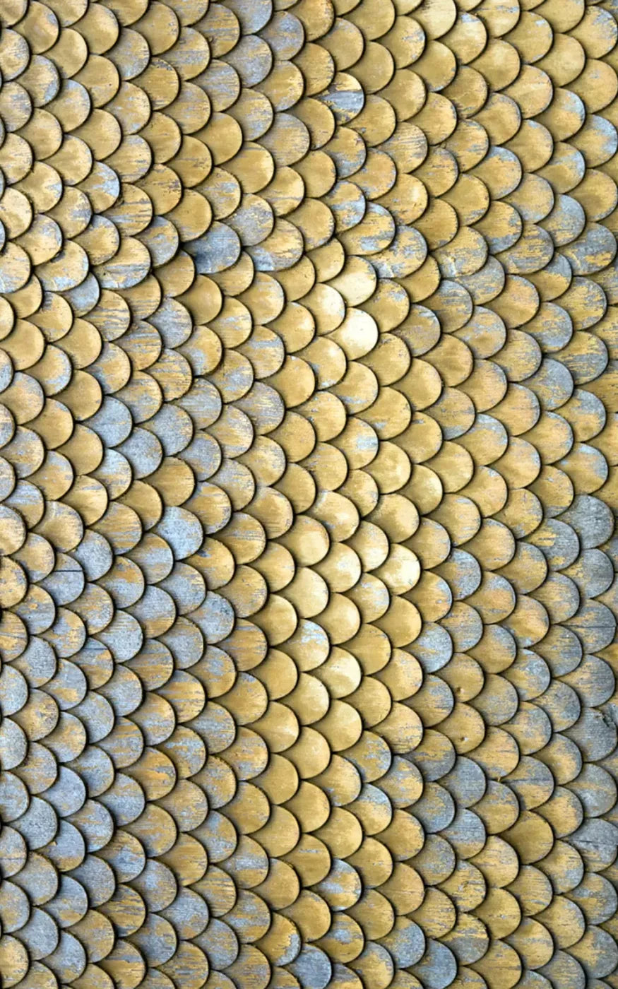 Scales 9X14 Ultracloth ( 108 X 168 Inch ) Backdrop