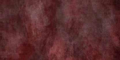 Scandal 20X10 Ultracloth ( 240 X 120 Inch ) Backdrop