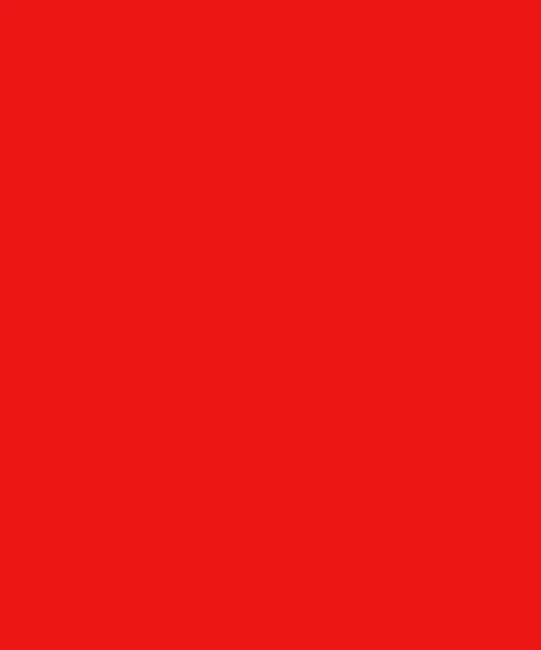 Scarlet Red Solid Color Backdrop for Photography