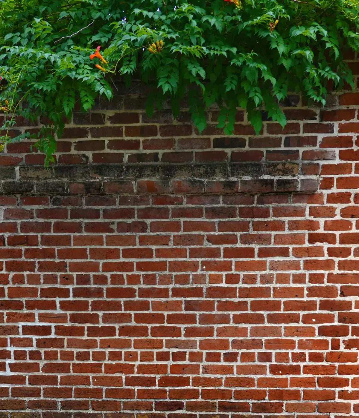Schoolyard Brick 10X12 Ultracloth ( 120 X 144 Inch ) Backdrop