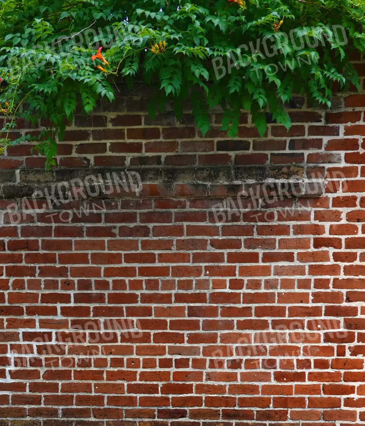 Schoolyard Brick 10X12 Ultracloth ( 120 X 144 Inch ) Backdrop