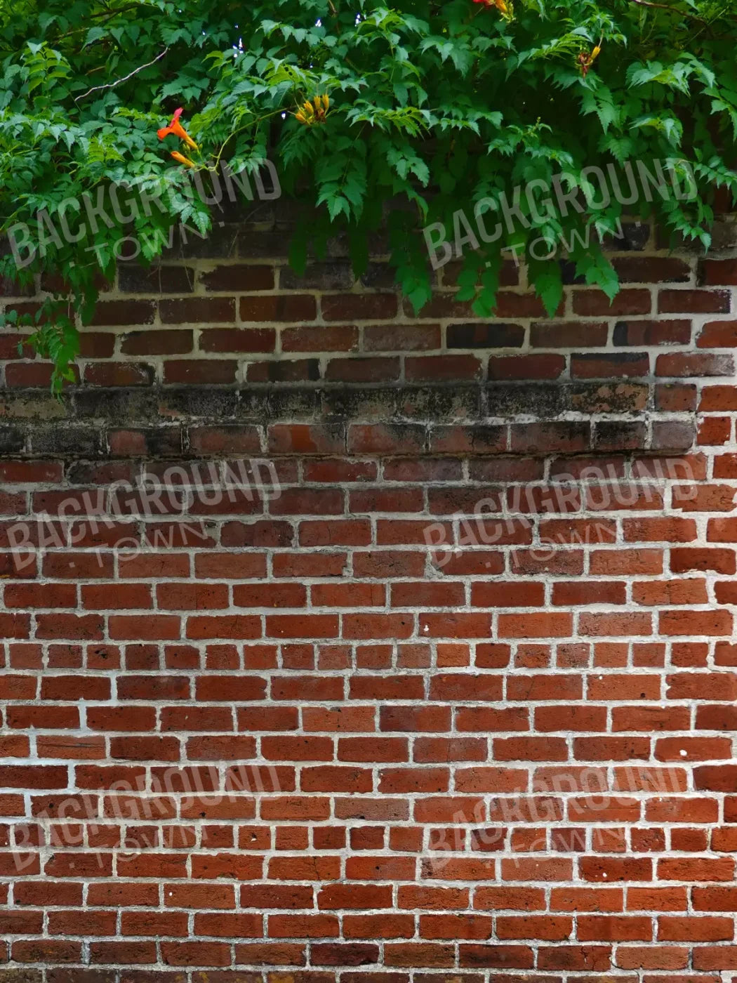 Schoolyard Brick 5X68 Fleece ( 60 X 80 Inch ) Backdrop