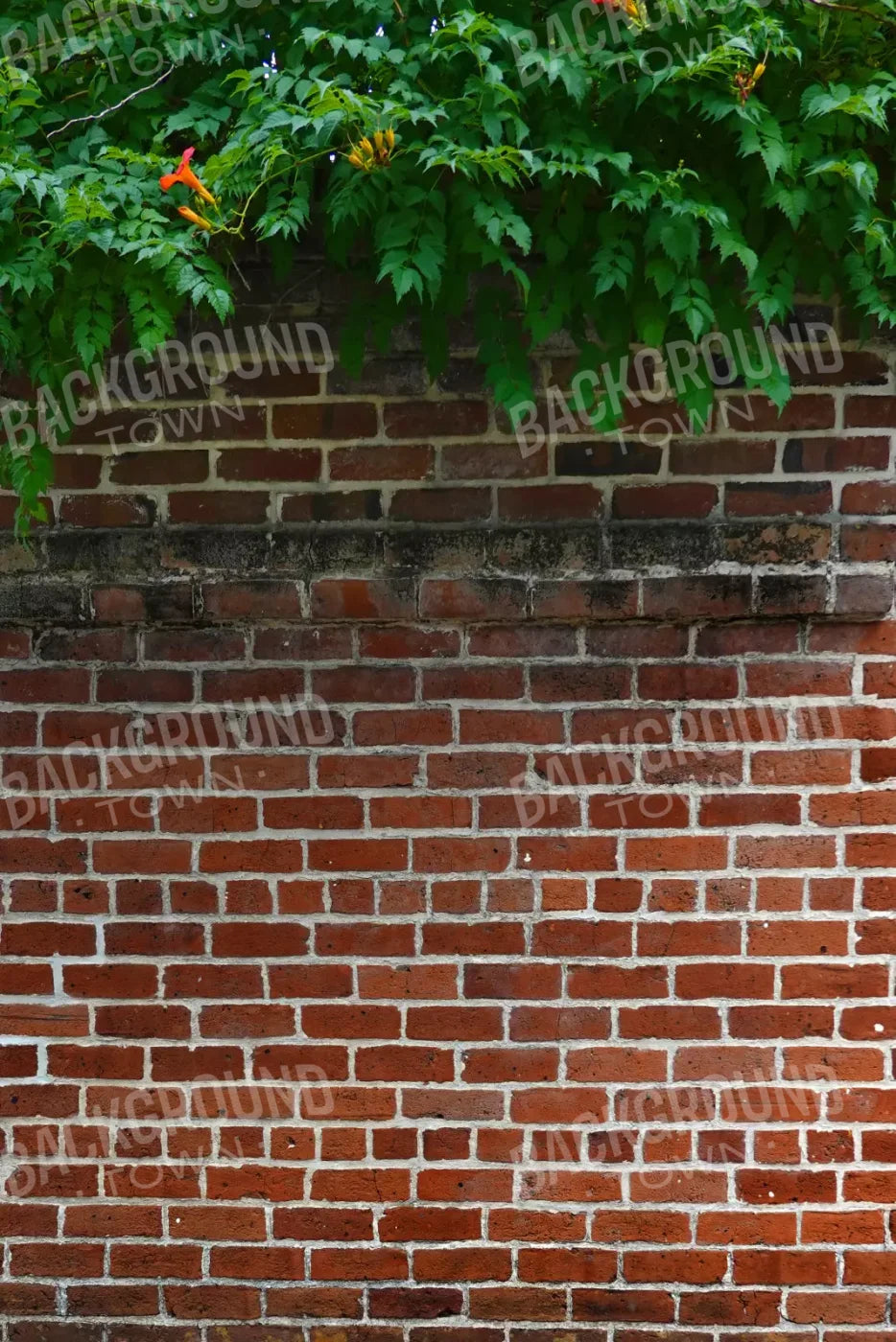 Schoolyard Brick 5X8 Ultracloth ( 60 X 96 Inch ) Backdrop