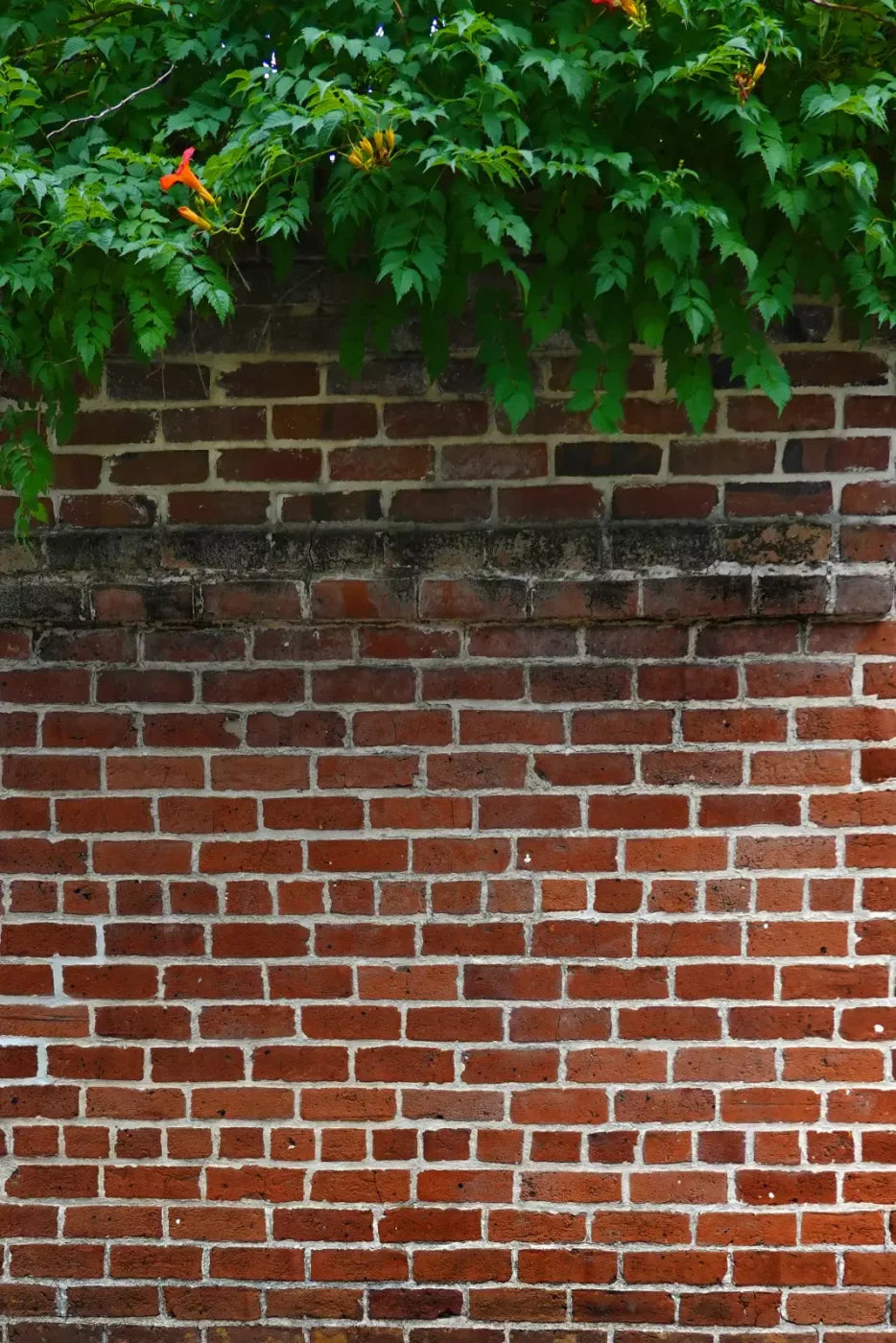 Schoolyard Brick 5X8 Ultracloth ( 60 X 96 Inch ) Backdrop