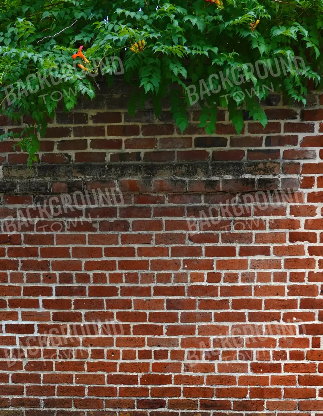 Schoolyard Brick 6X8 Fleece ( 72 X 96 Inch ) Backdrop