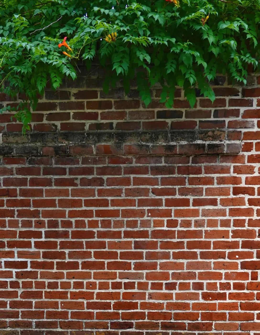 Schoolyard Brick 6X8 Fleece ( 72 X 96 Inch ) Backdrop
