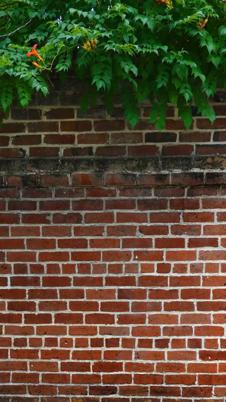 Schoolyard Brick 8X14 Ultracloth ( 96 X 168 Inch ) Backdrop