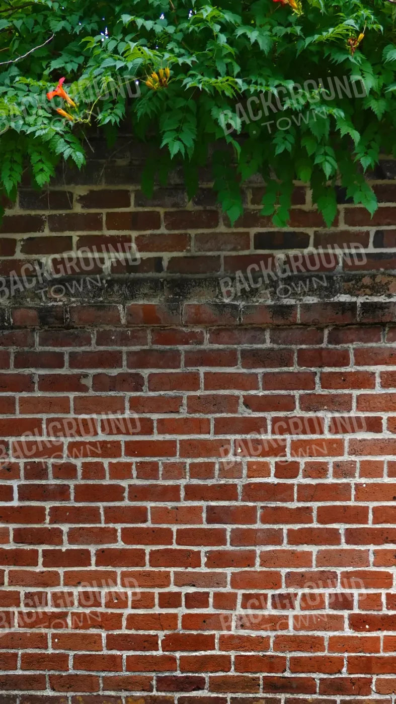 Schoolyard Brick 8X14 Ultracloth ( 96 X 168 Inch ) Backdrop