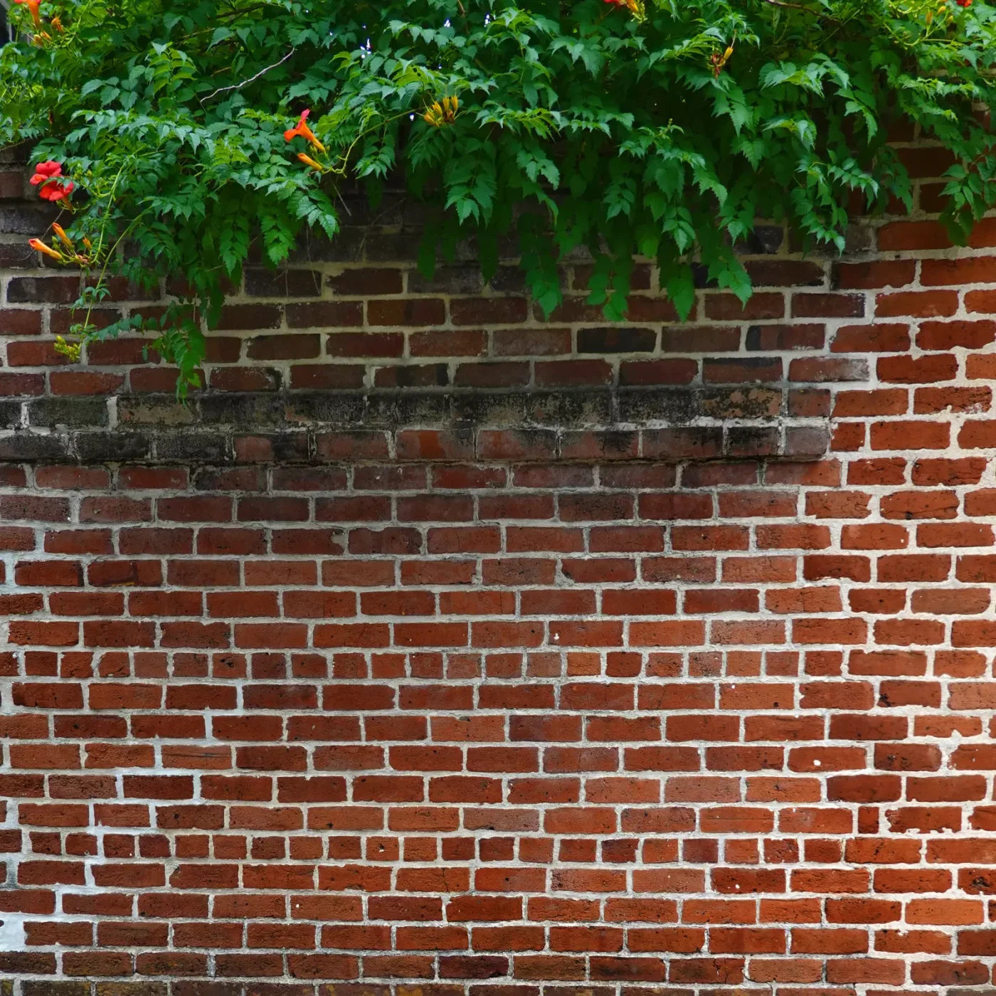 Schoolyard Brick 8X8 Fleece ( 96 X Inch ) Backdrop