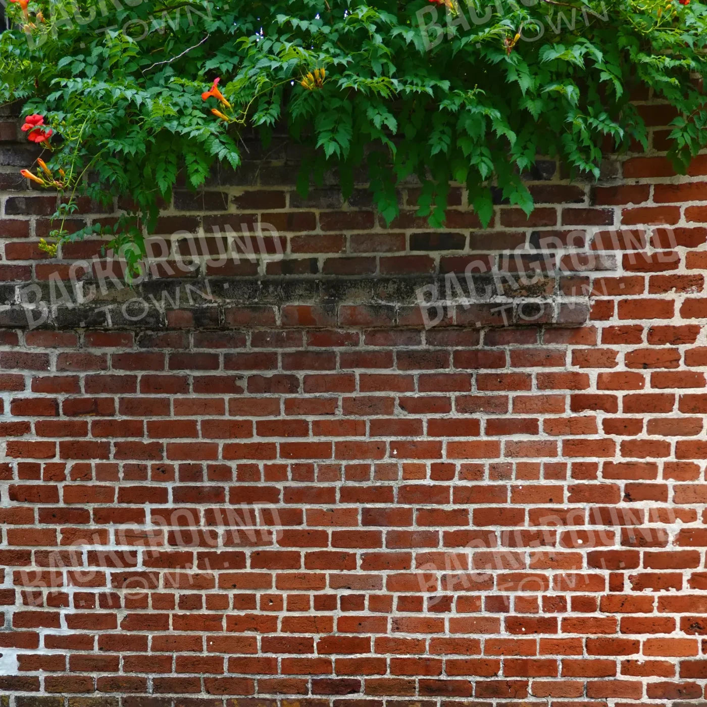 Schoolyard Brick 8X8 Fleece ( 96 X Inch ) Backdrop