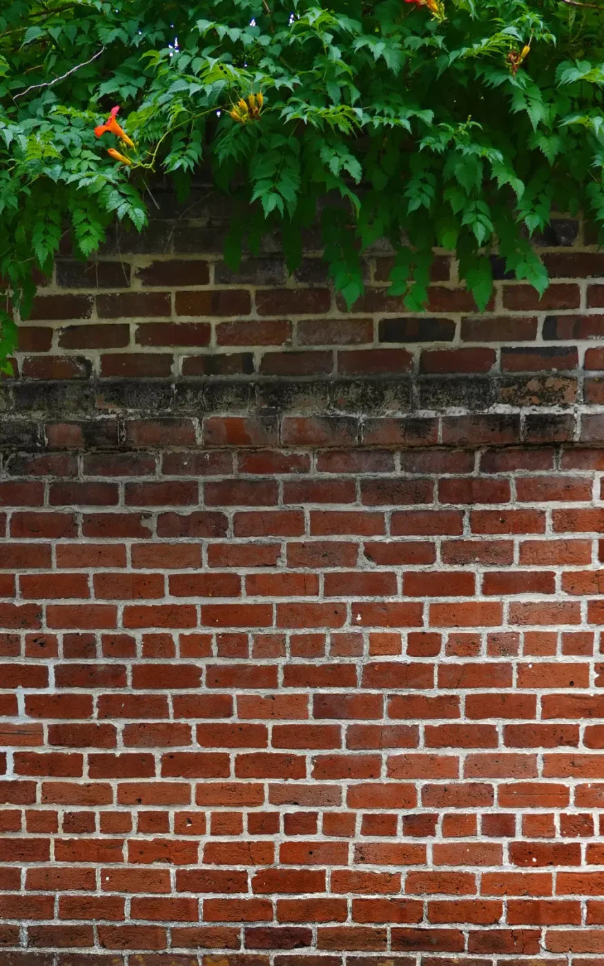 Schoolyard Brick 9X14 Ultracloth ( 108 X 168 Inch ) Backdrop