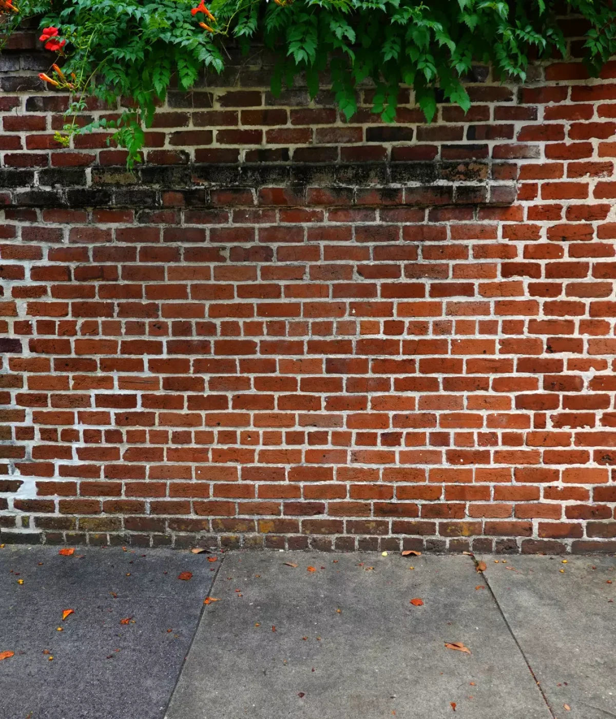 Schoolyard Brick Sweep 10X12 Ultracloth ( 120 X 144 Inch ) Backdrop