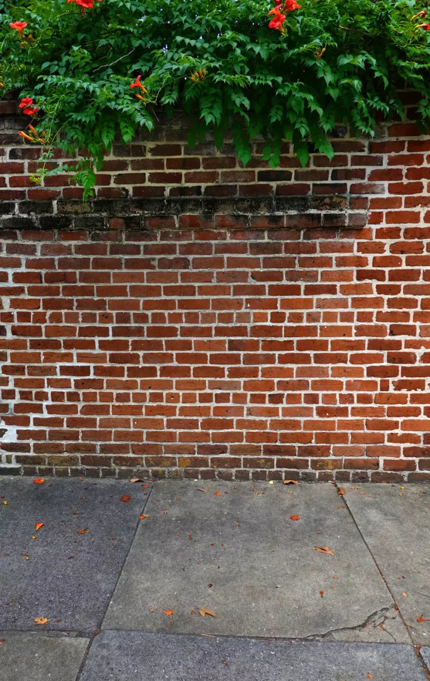 Schoolyard Brick Sweep 10X16 Ultracloth ( 120 X 192 Inch ) Backdrop