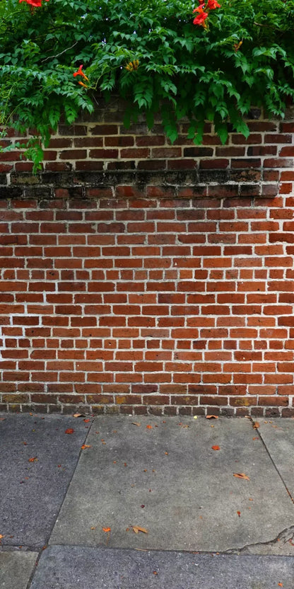 Schoolyard Brick Sweep 10X20 Ultracloth ( 120 X 240 Inch ) Backdrop