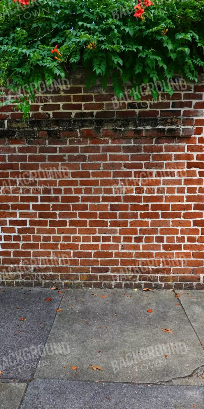 Schoolyard Brick Sweep 10X20 Ultracloth ( 120 X 240 Inch ) Backdrop