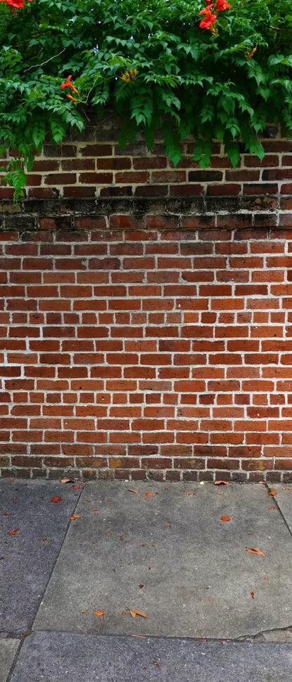Schoolyard Brick Sweep 5X12 Ultracloth For Westcott X-Drop ( 60 X 144 Inch ) Backdrop